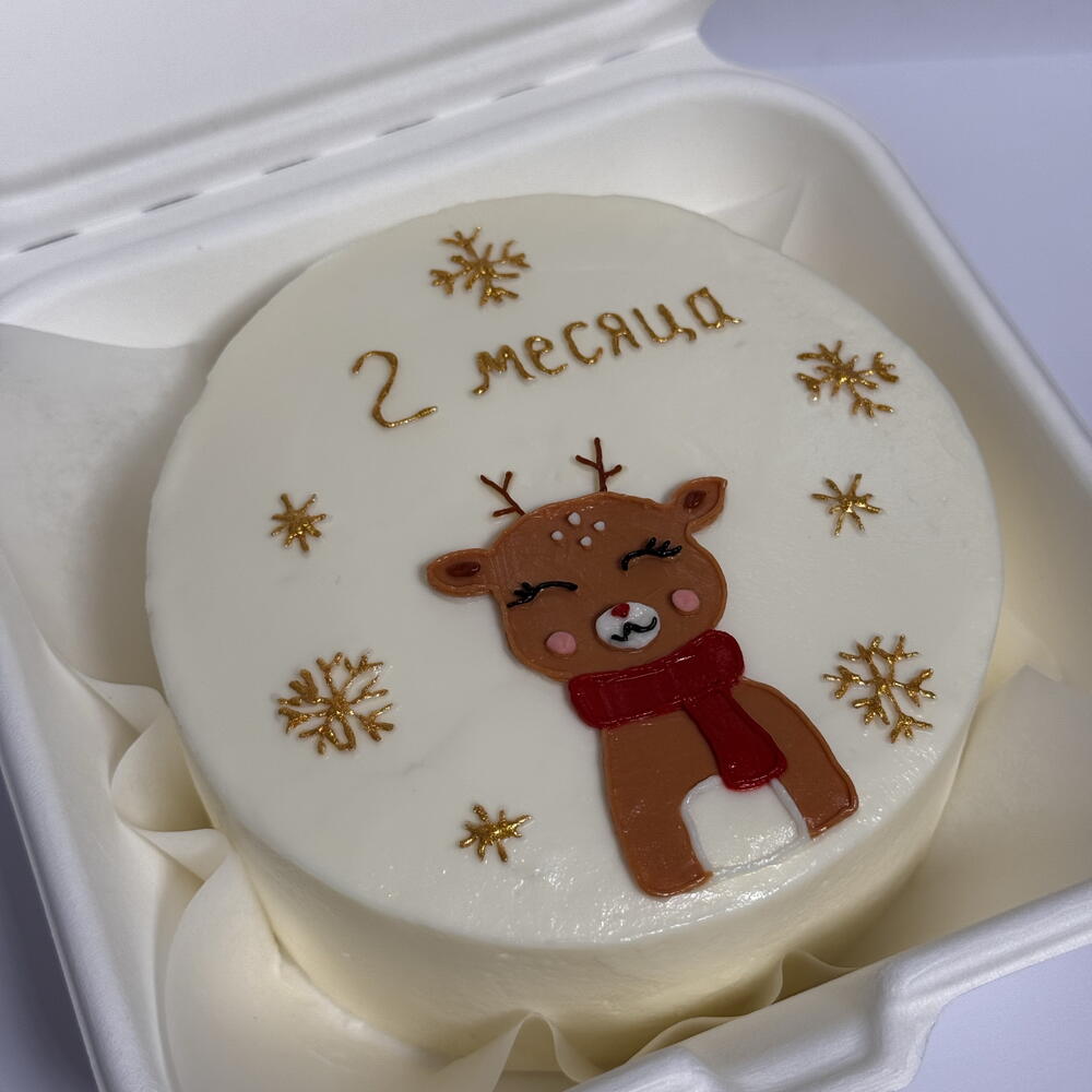 2 месяца на Новый год