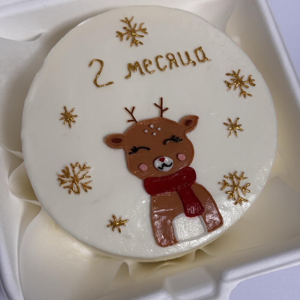 2 месяца на Новый год