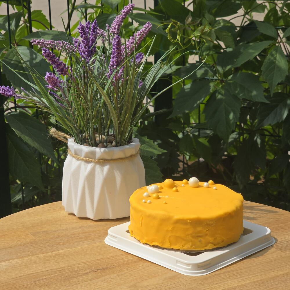 Бенто Апельсиновое утро