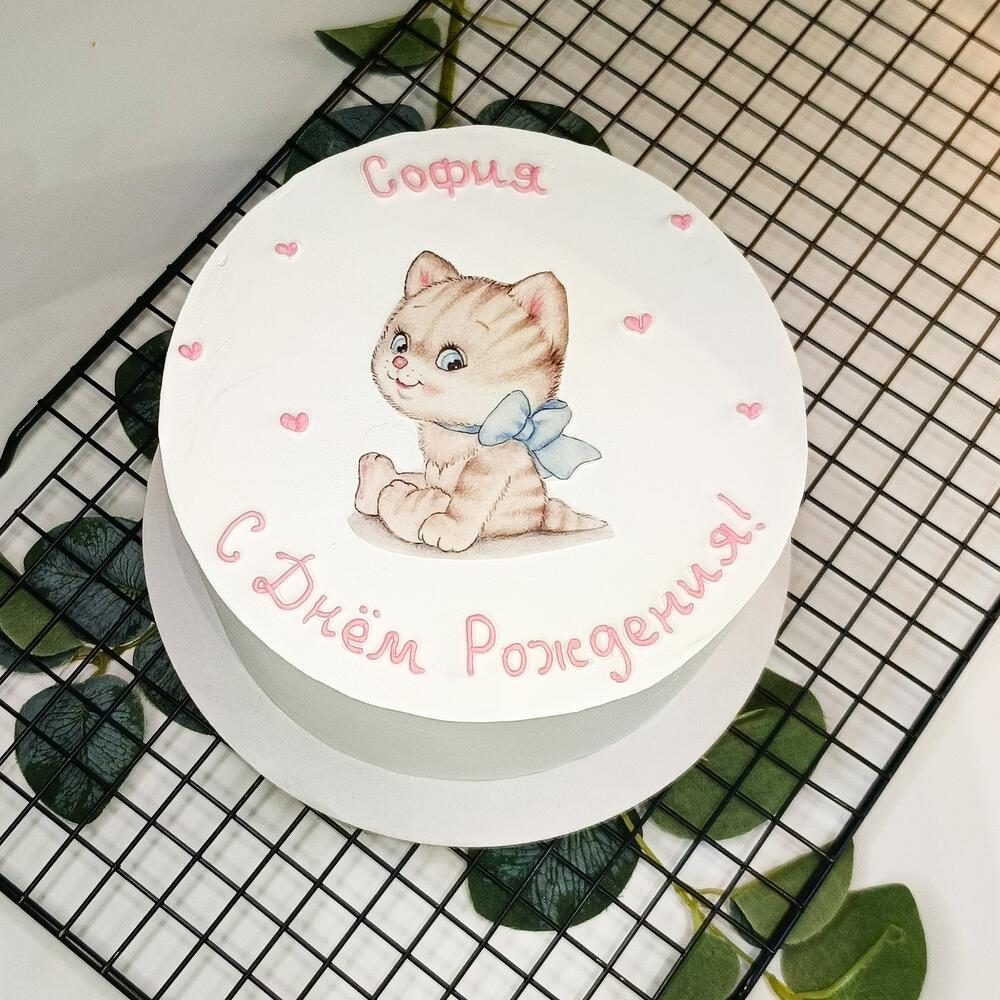 Бенто Макс, 1000 гр, с котиком (для девочки, мальчика, дочери, сына, девушки)