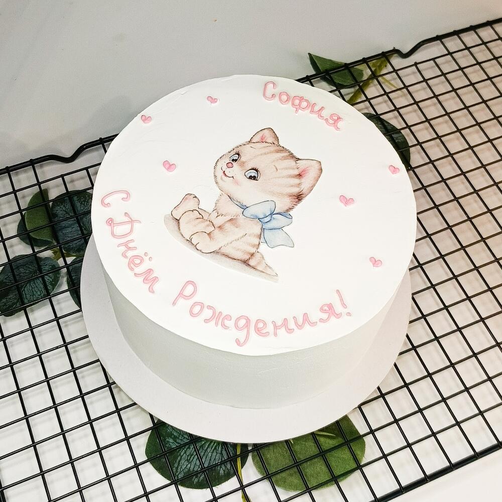 Бенто Макс, 1000 гр, с котиком (для девочки, мальчика, дочери, сына, девушки)