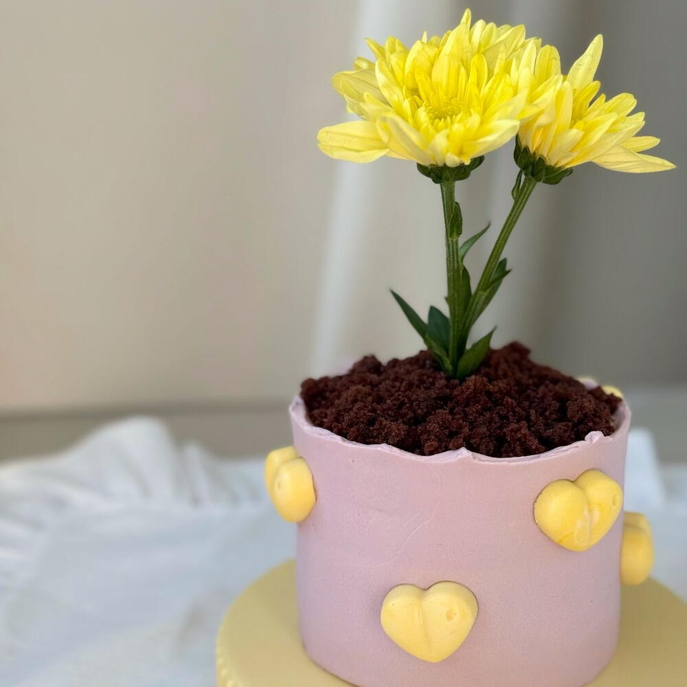 Бенто макси для мамочке