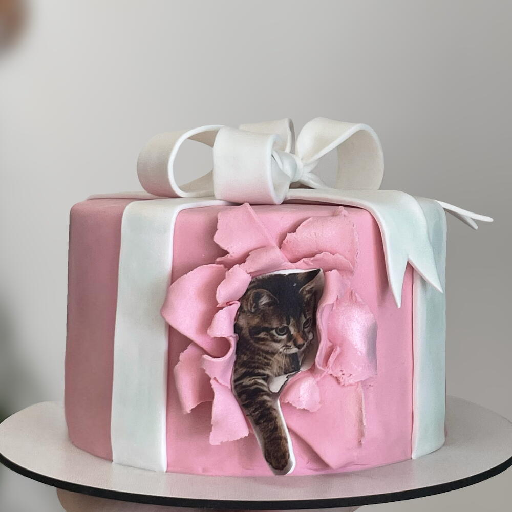 Бенто Maxi подарок для девочки