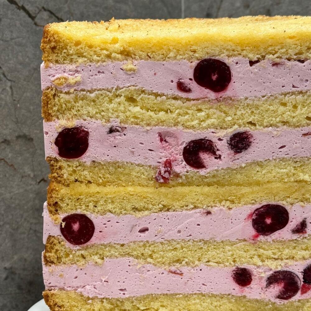 Бенто MAXI в велюре