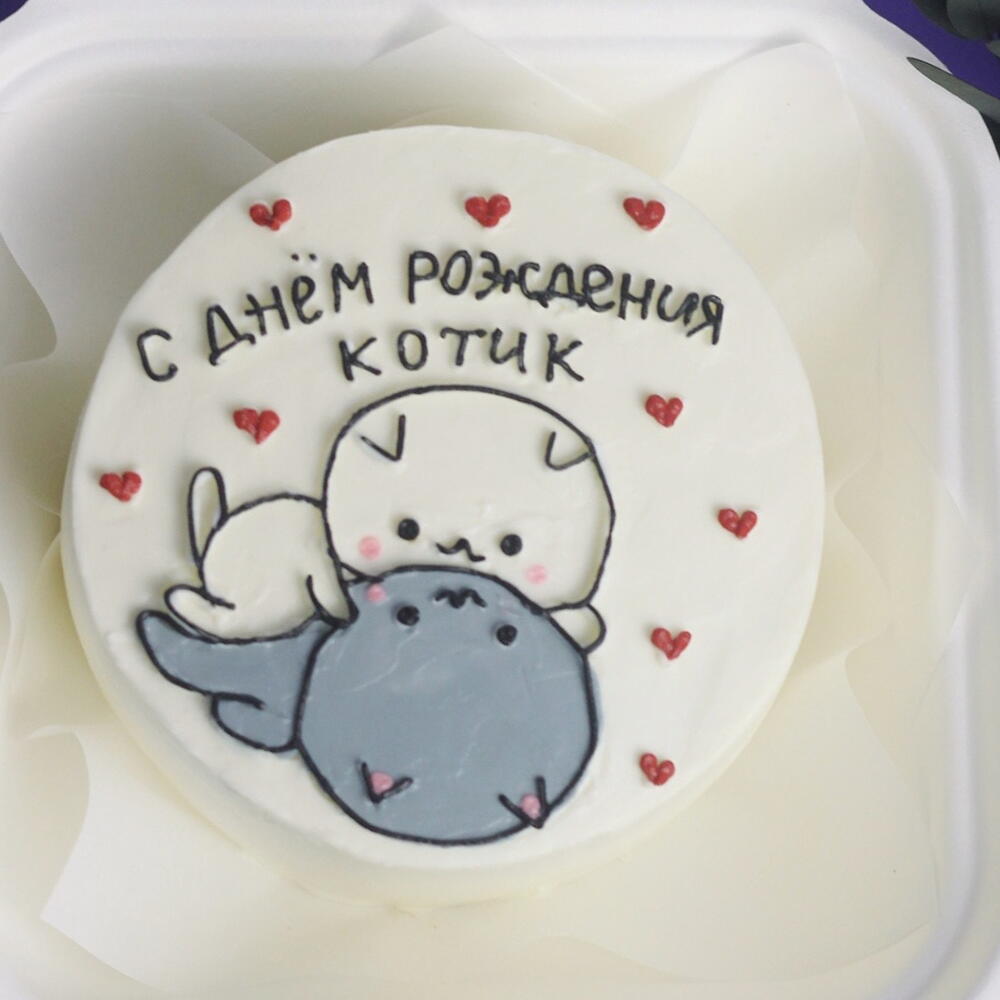 Бенто с днём рождения котик