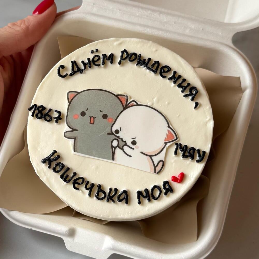 Бенто с котиками