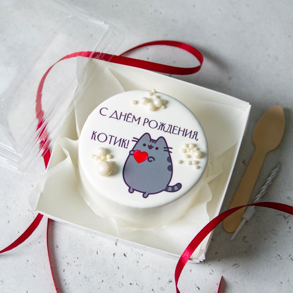 Бенто с котиком на день рождения