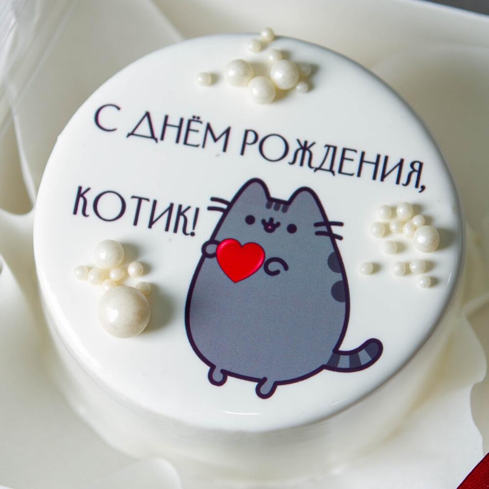 Бенто с котиком на день рождения