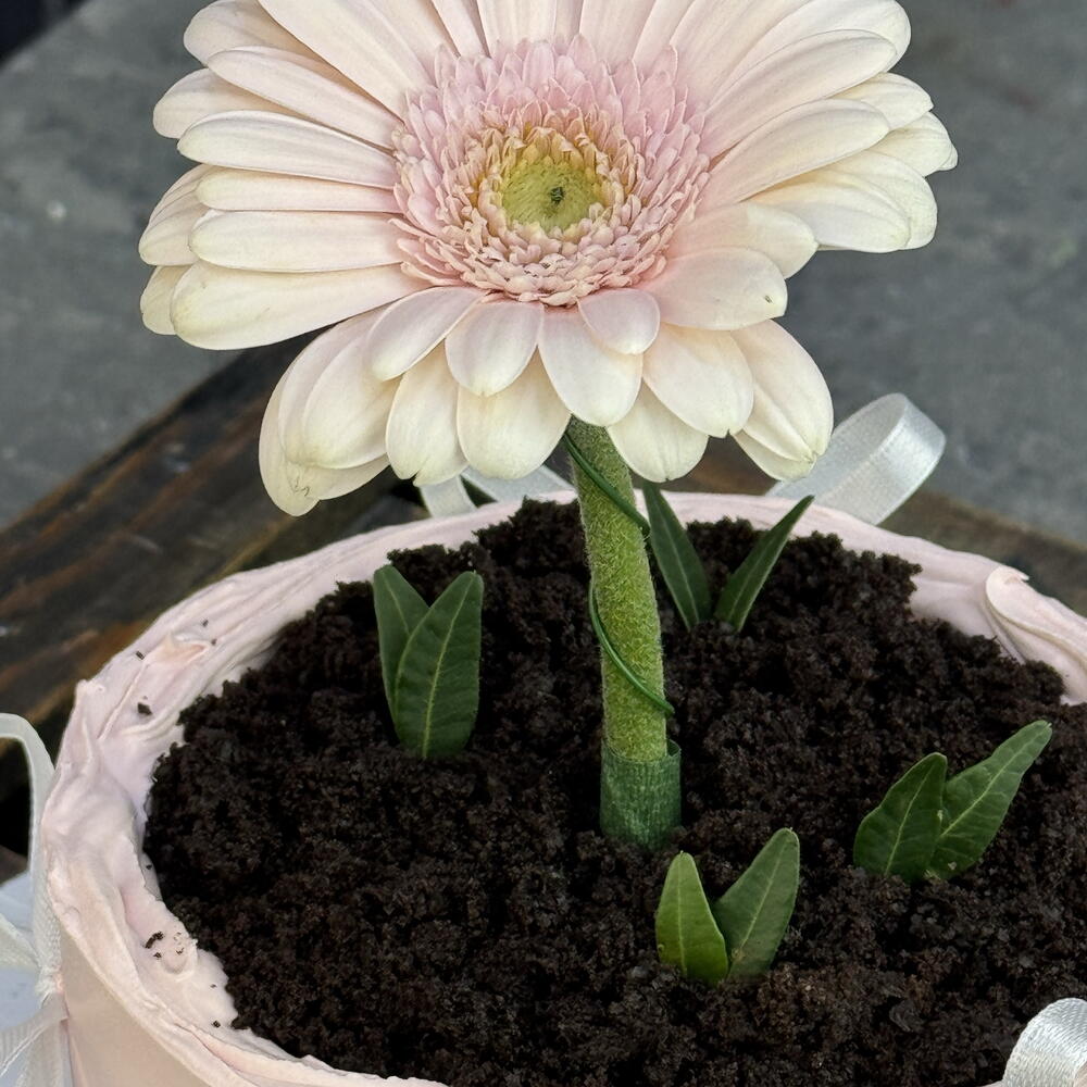 Бенто с цветочком для мамы