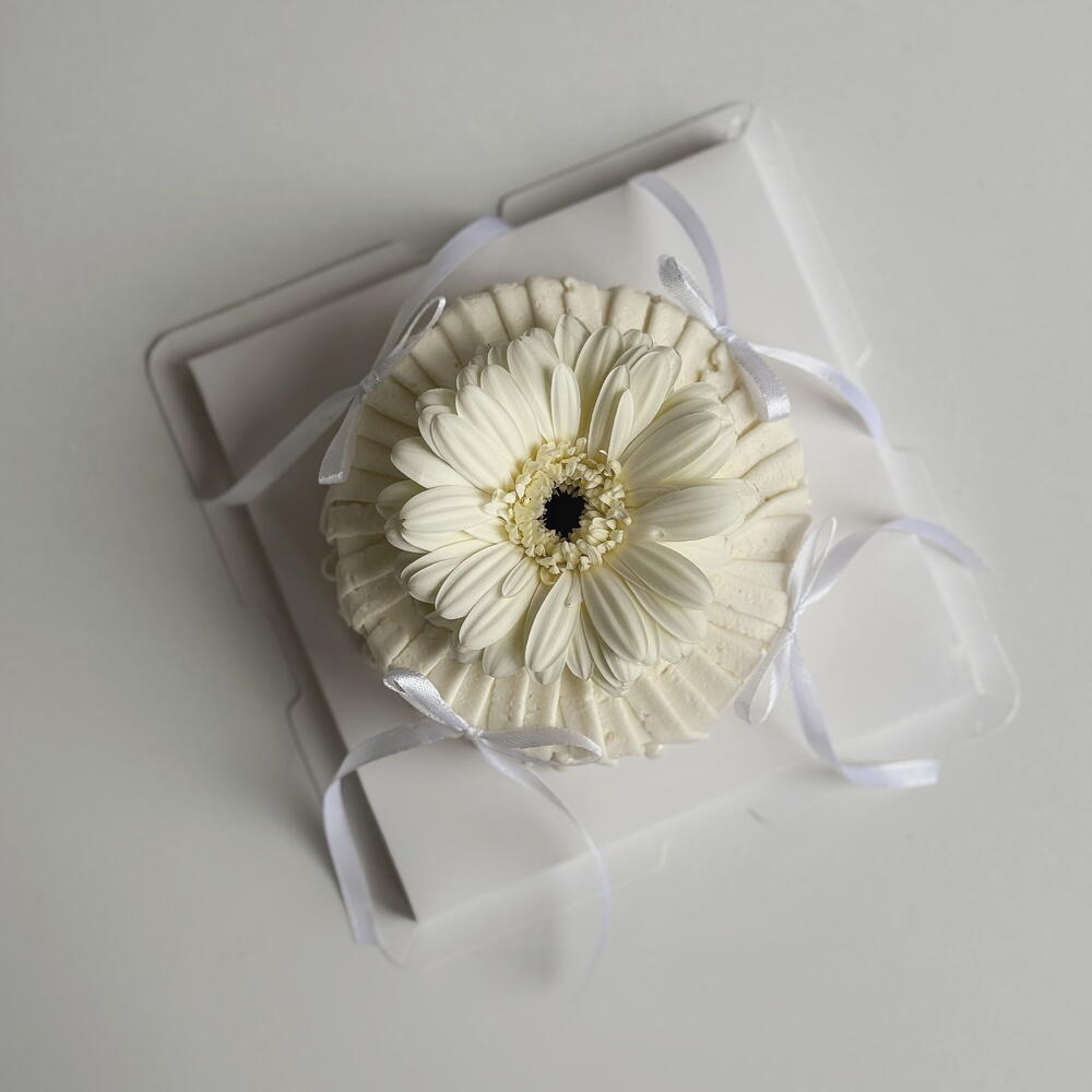 Бенто с живым цветком