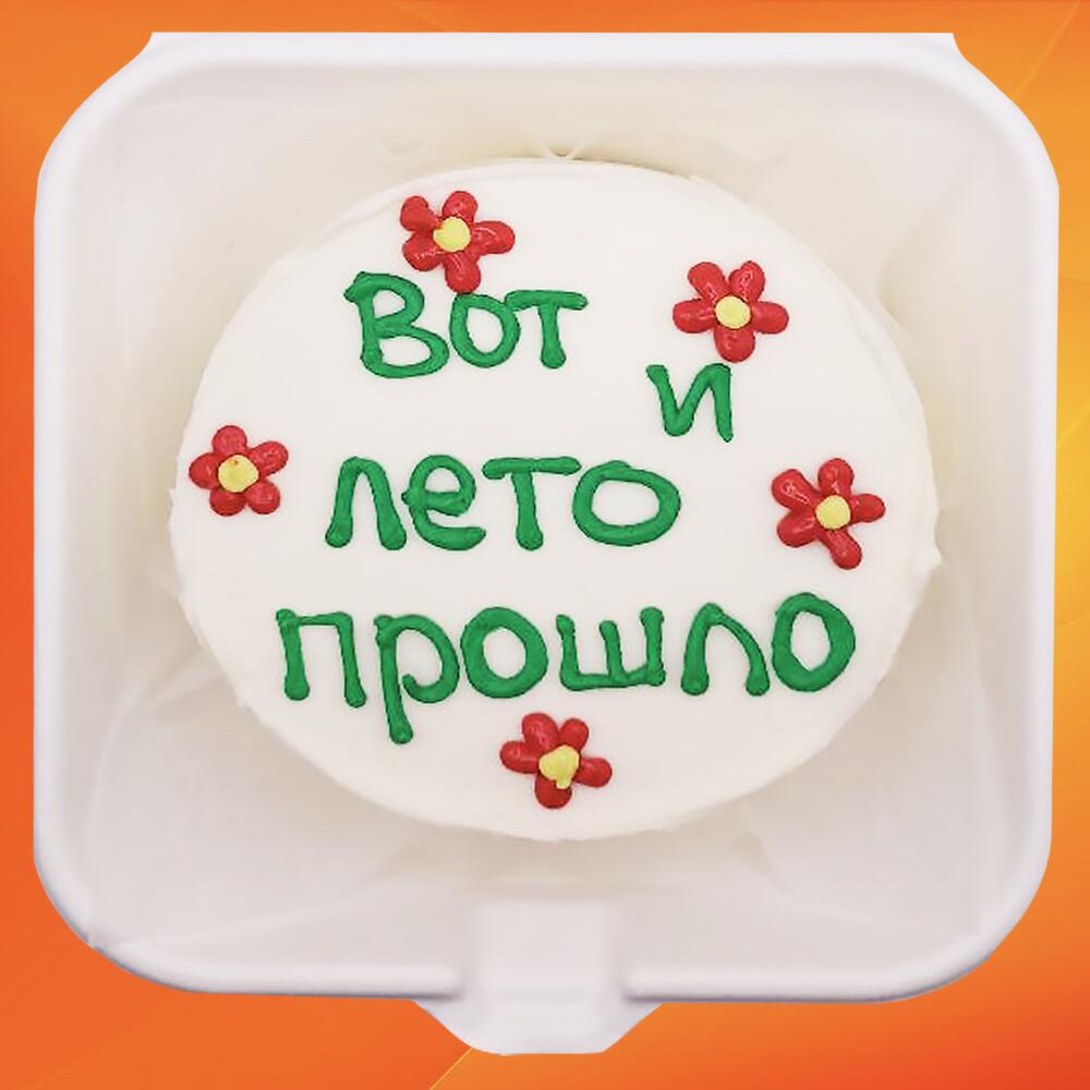 Бенто торт 1 сентября Лето прошло