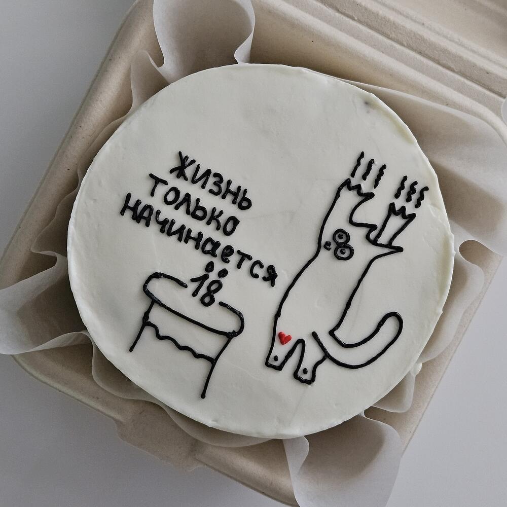 Бенто торт 18 лет жизнь только начинается с котом