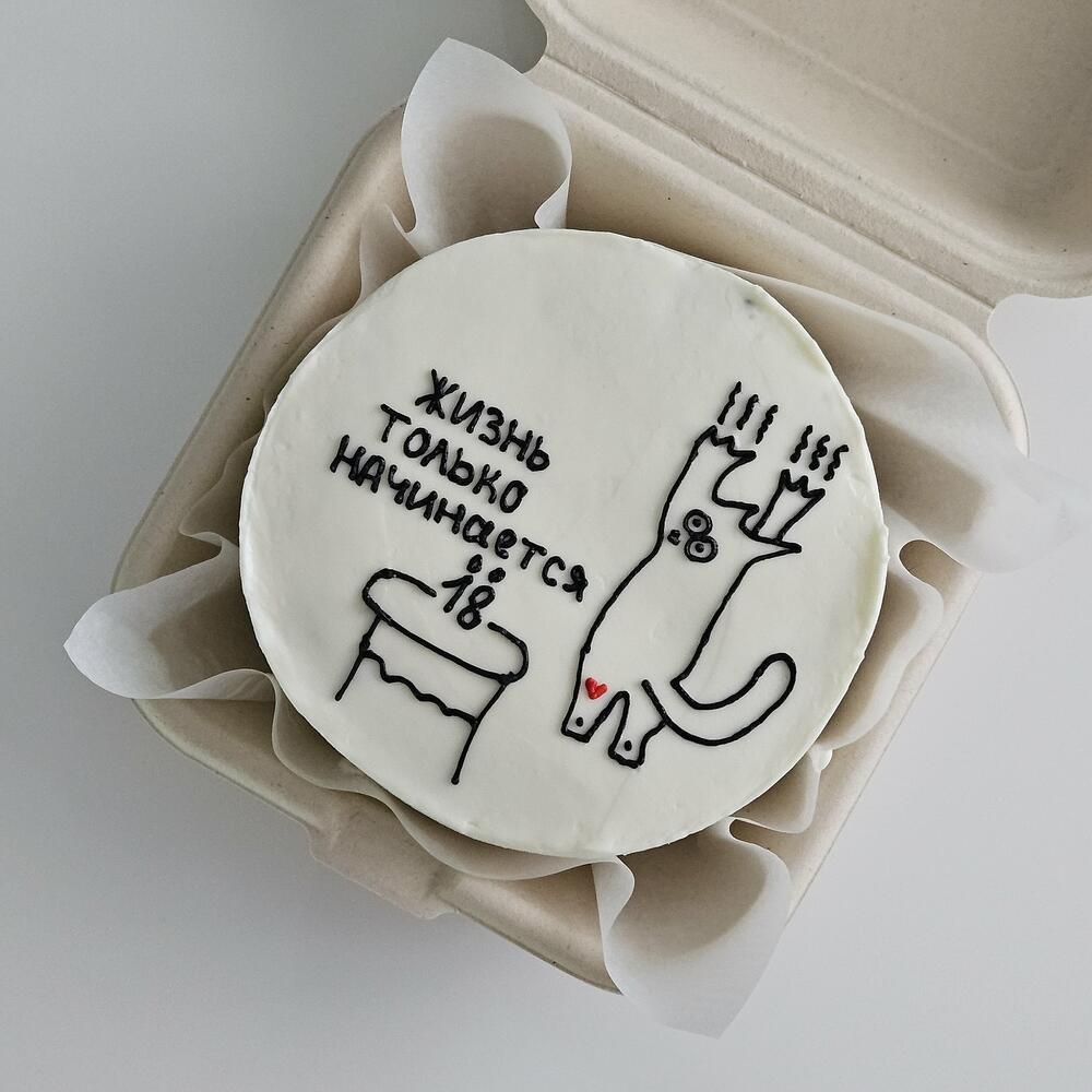 Бенто торт 18 лет жизнь только начинается с котом