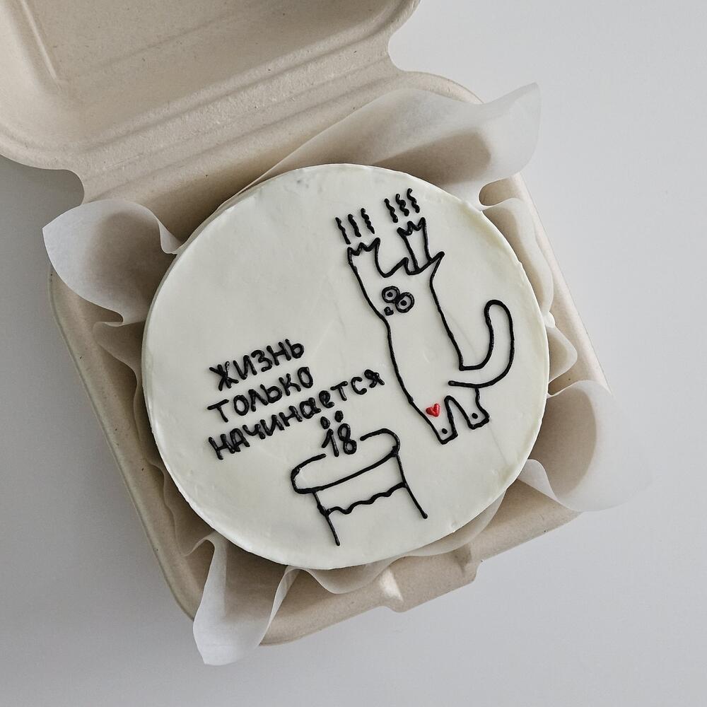 Бенто торт 18 лет жизнь только начинается с котом