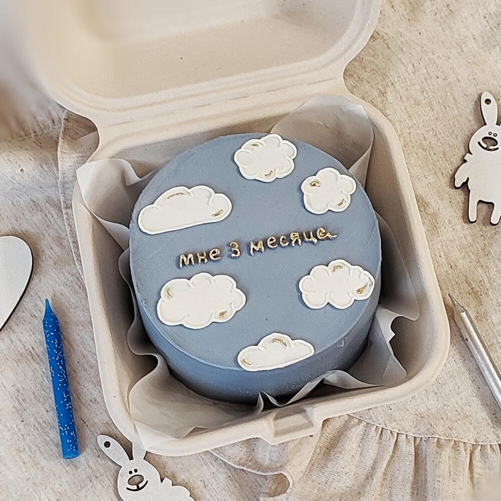 Бенто торт 500 гр на 3 месяца