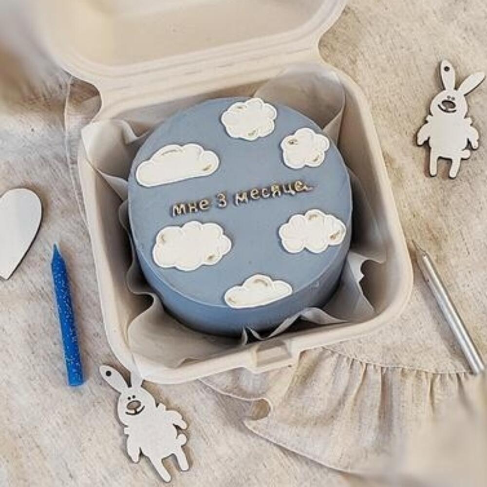 Бенто торт 500 гр на 3 месяца