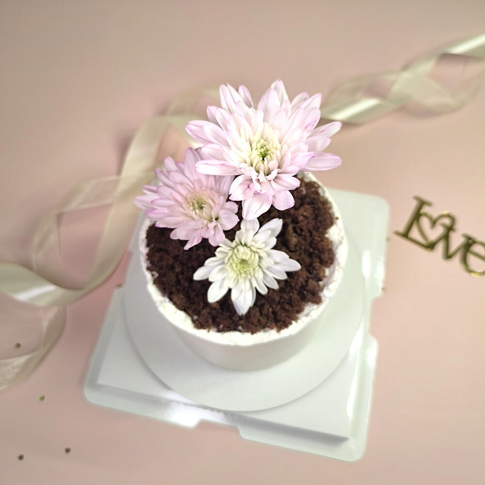 Бенто торт (500гр) в виде горшочка с цветами на день мамы