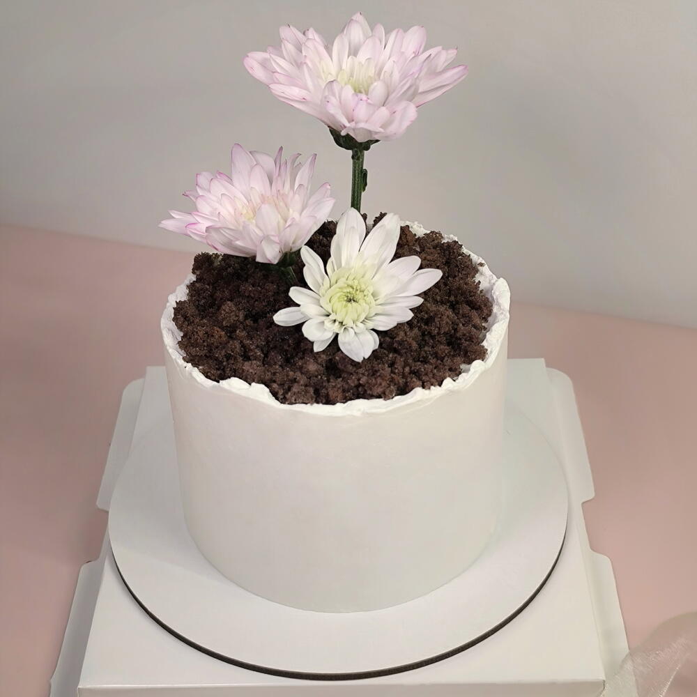 Бенто торт (500гр) в виде горшочка с цветами на день мамы