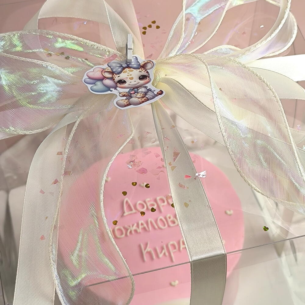 Бенто-торт (750гр) на выписку из роддома / тортик для ребёнка / детский торт