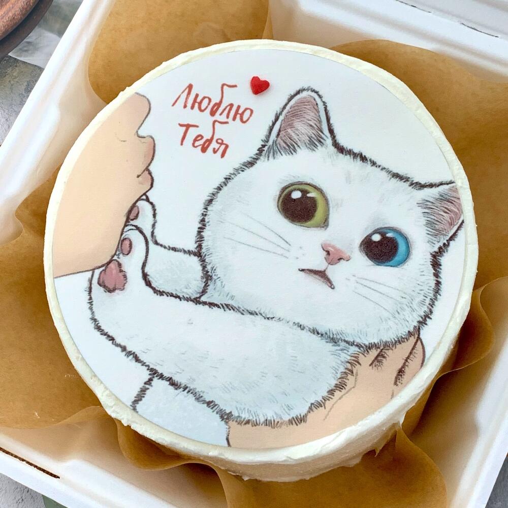 Бенто торт (800гр) «Белый кот»