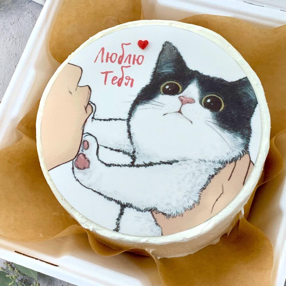 Бенто торт (800гр) «Черный кот»