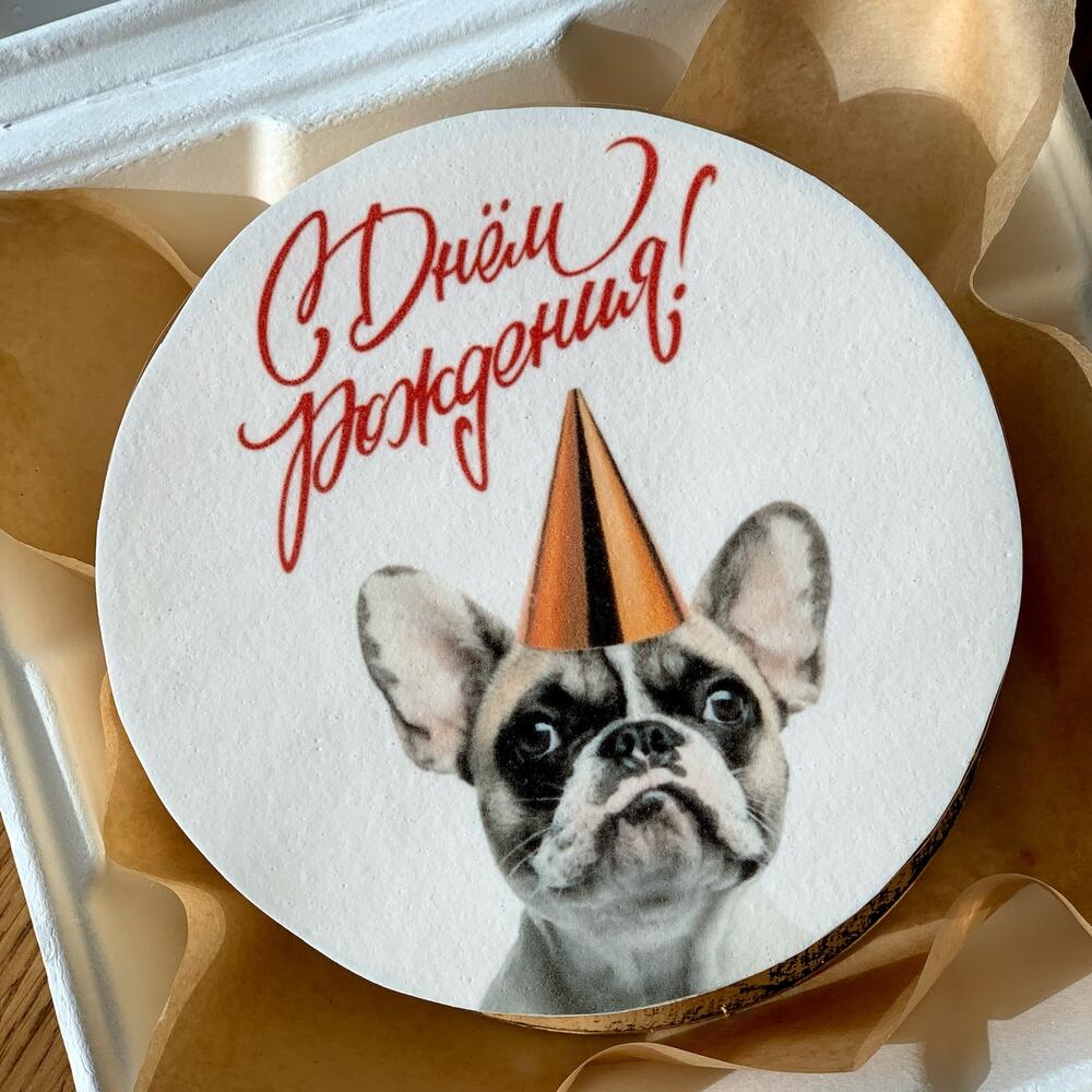 Бенто-торт (800гр) - ДР с собачкой