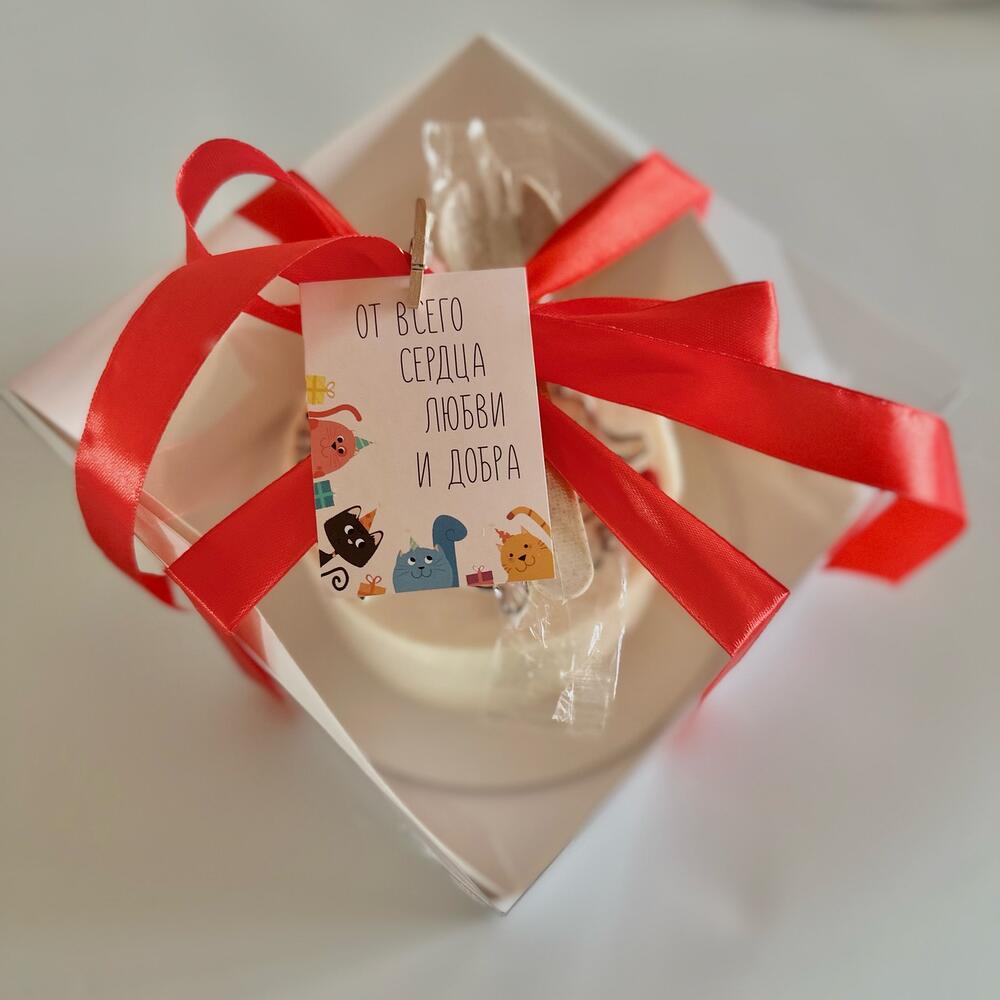 Бенто-торт «Будем всегда поддерживать тебя»