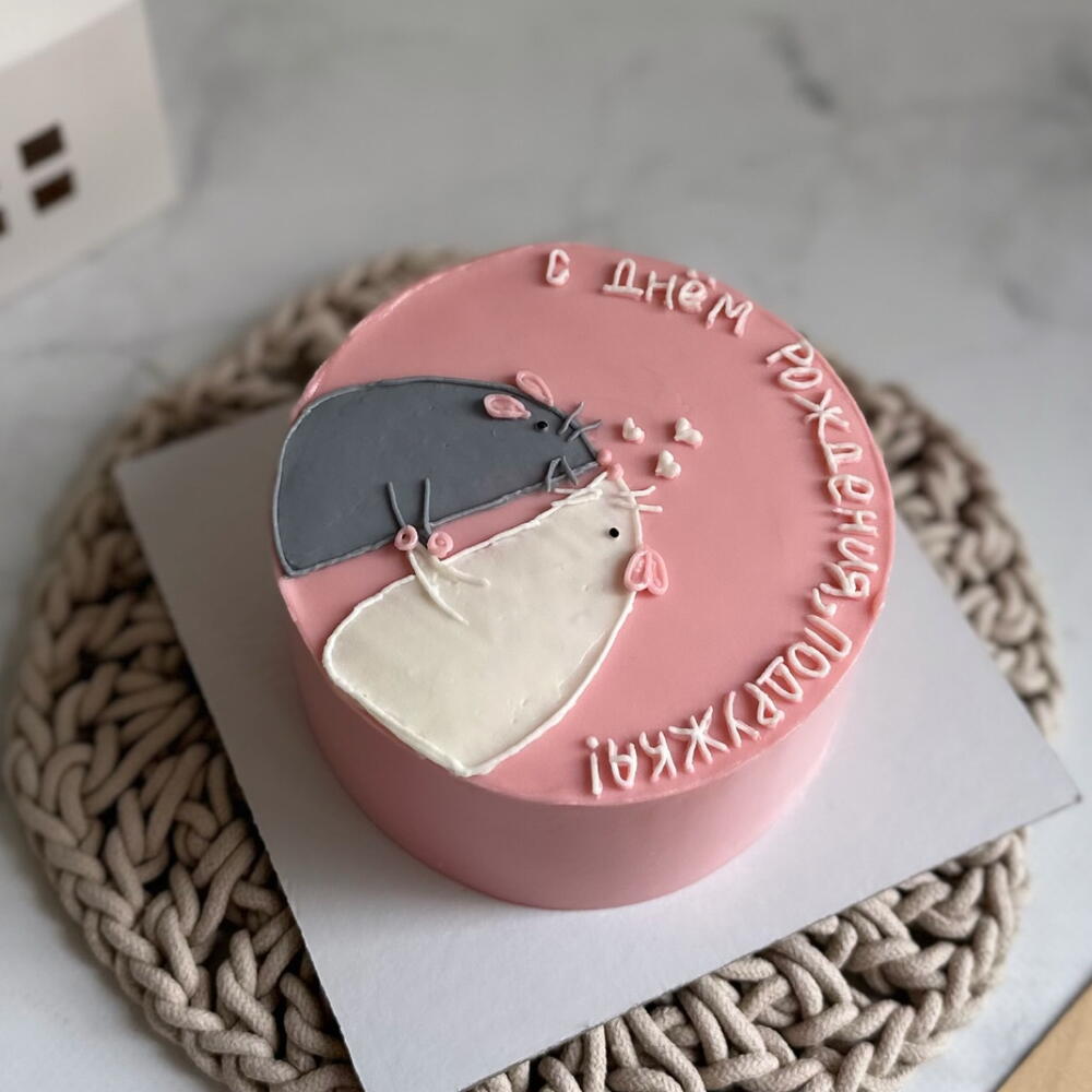 Бенто торт для любимой подружки с крысками