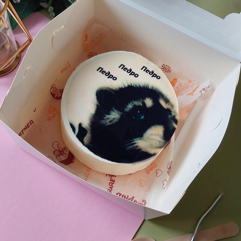 Бенто торт Енот Педро Ванильный с клубникой, красной смородиной