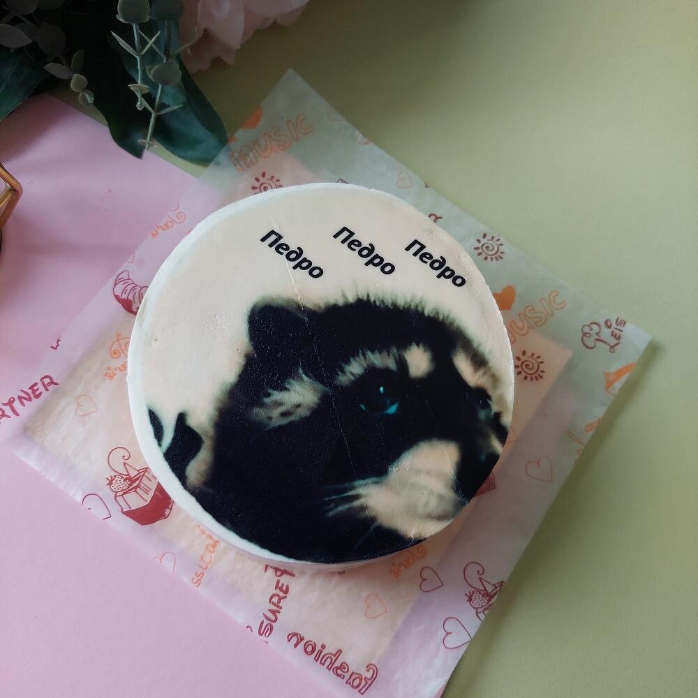 Бенто торт Енот Педро Ванильный с клубникой, красной смородиной