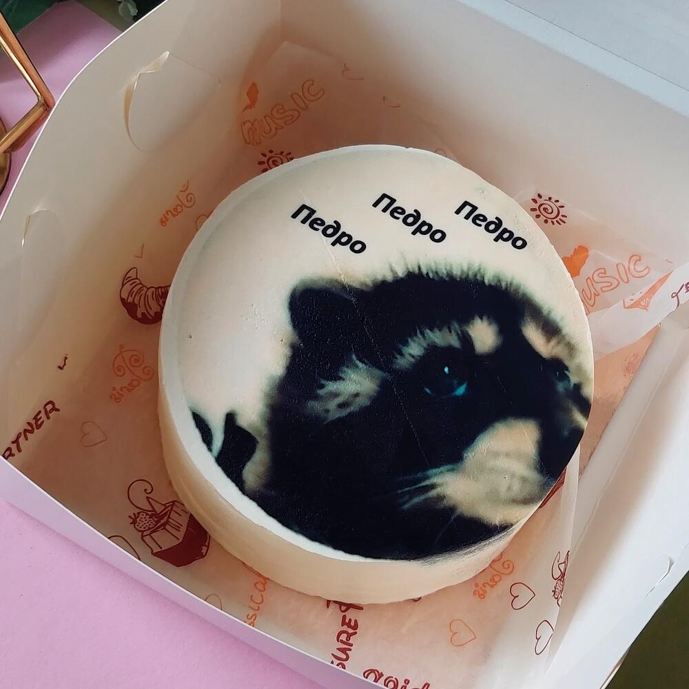 Бенто торт Енот Педро Ванильный с клубникой, красной смородиной