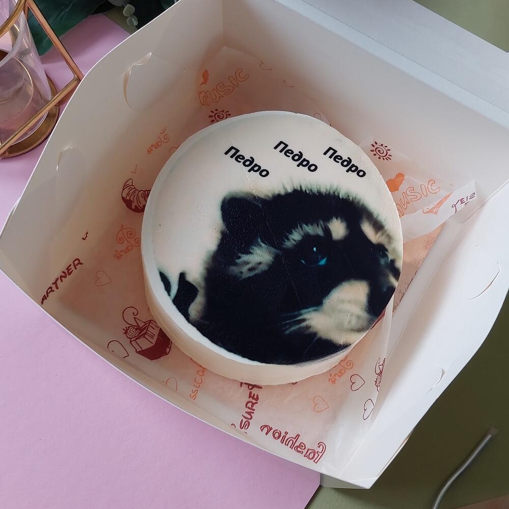 Бенто торт Енот Педро Ванильный с клубникой, красной смородиной