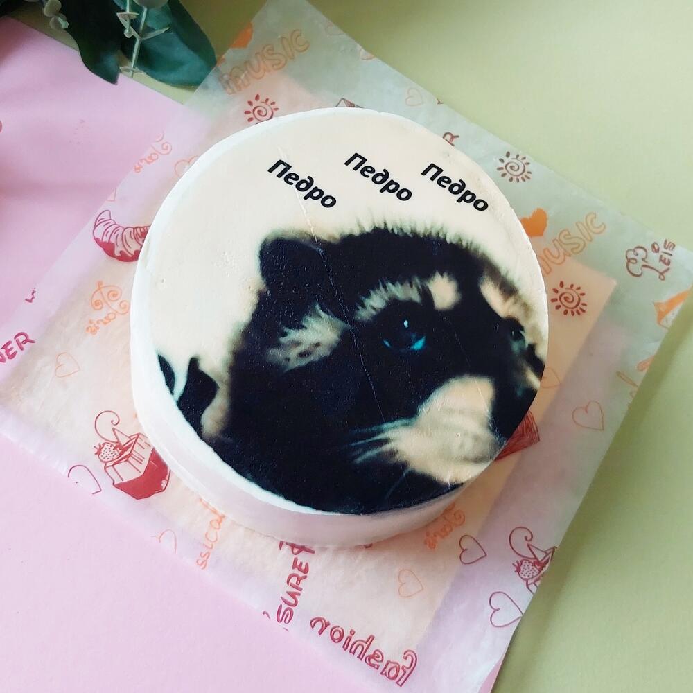 Бенто торт Енот Педро Ванильный с клубникой, красной смородиной