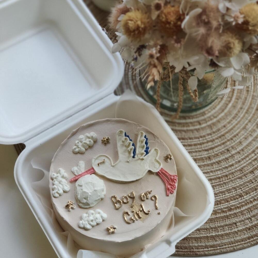 Бенто торт Гендер пати аист