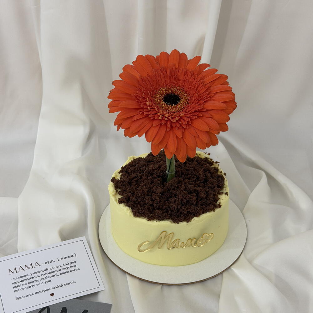 Бенто торт «Горшочек с Герберой»