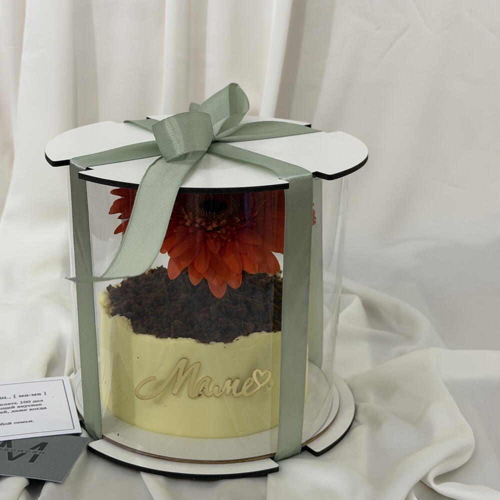 Бенто торт «Горшочек с Герберой»