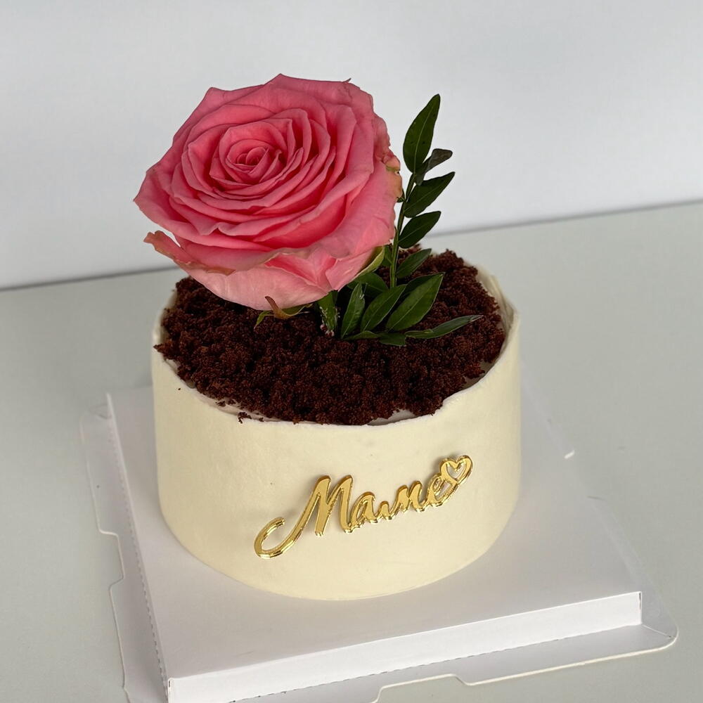 Бенто-торт горшок с цветоком 🪴