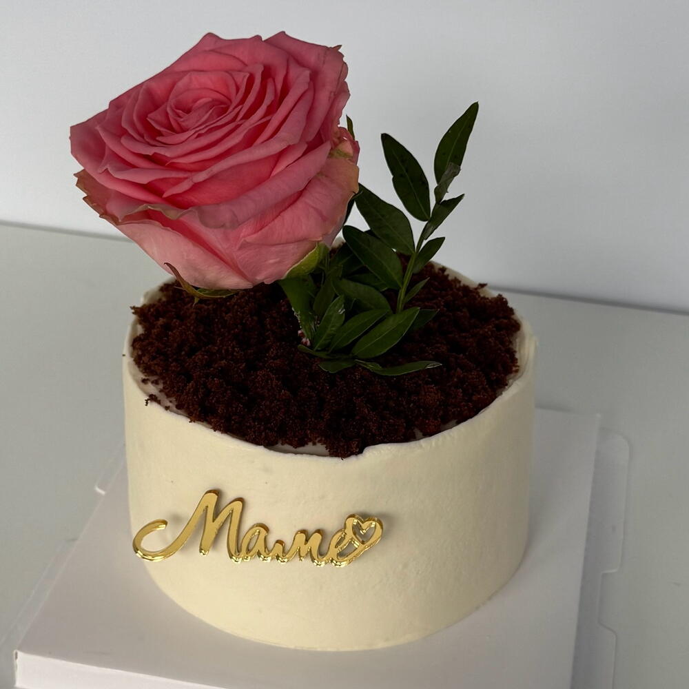 Бенто-торт горшок с цветоком 🪴