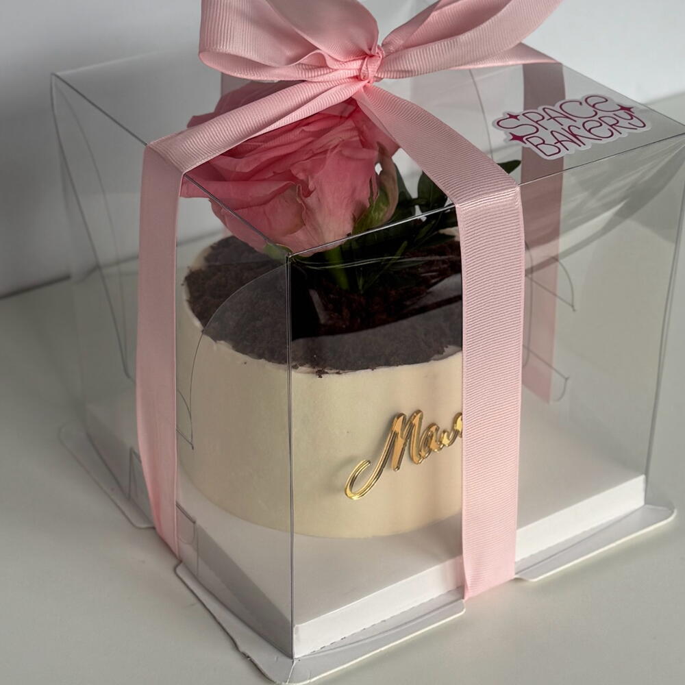 Бенто-торт горшок с цветоком 🪴