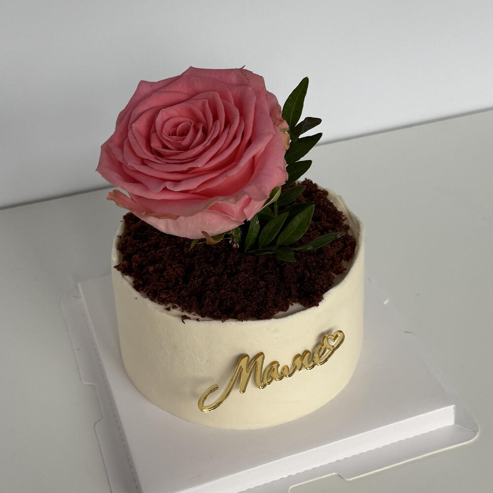 Бенто-торт горшок с цветоком 🪴