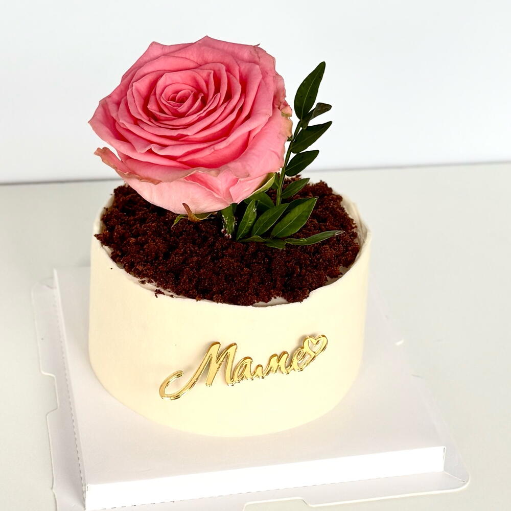 Бенто-торт горшок с цветоком 🪴