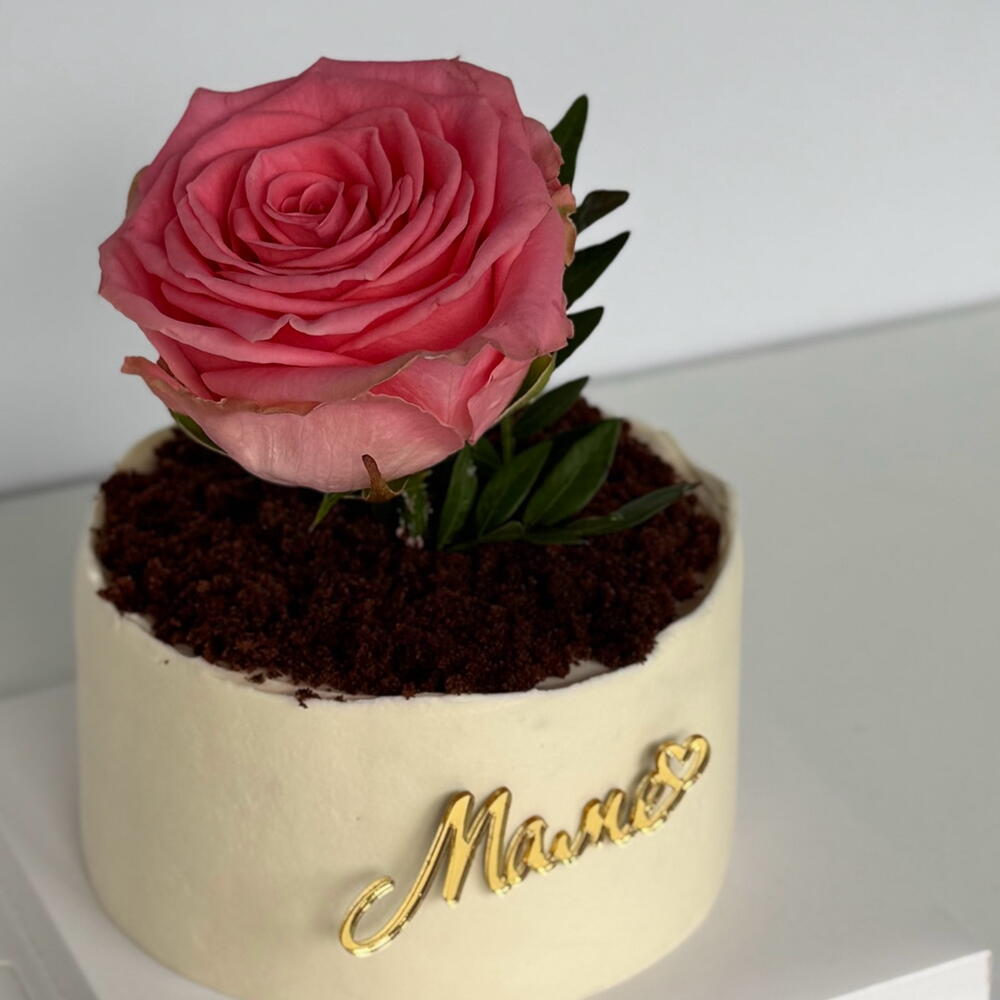 Бенто-торт горшок с цветоком 🪴