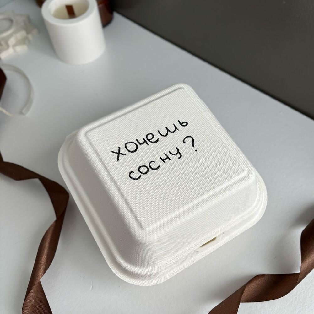 Бенто торт Хочешь сосну