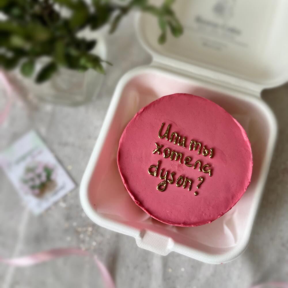 Бенто торт или ты хотела dyson (пп бенто торты/классические бенто торты)