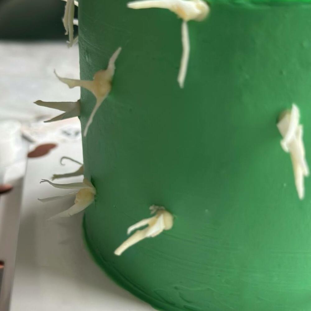 Бенто торт "Люблю тебя,моя колючка"