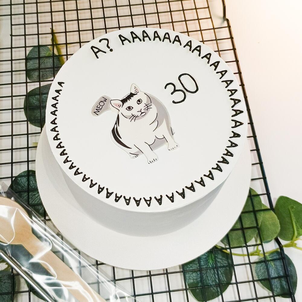 Бенто торт Maks 1000 гр. Смешная надпись с котом