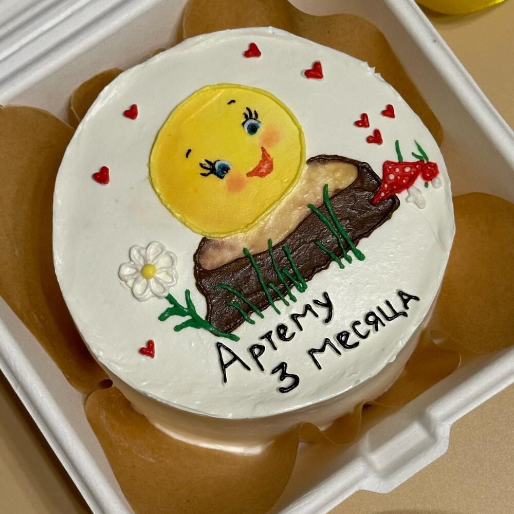Бенто торт малышу на каждый месяц
