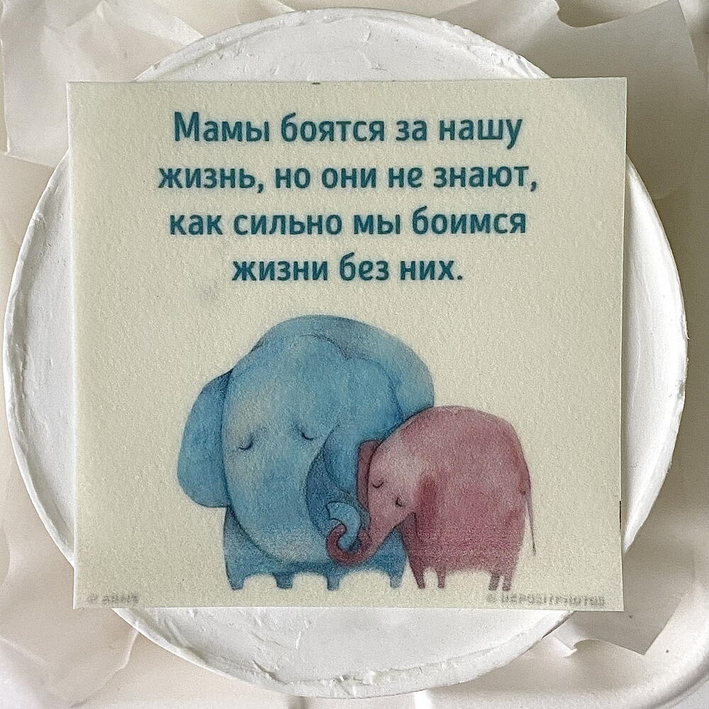 Бенто торт маме «Мамы боятся за нашу жизнь, но ни не знают, как сильно мы боимся жизни без них»
