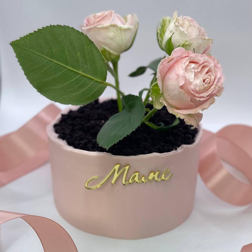 Бенто торт "Маме" с живыми цветами XL 700гр