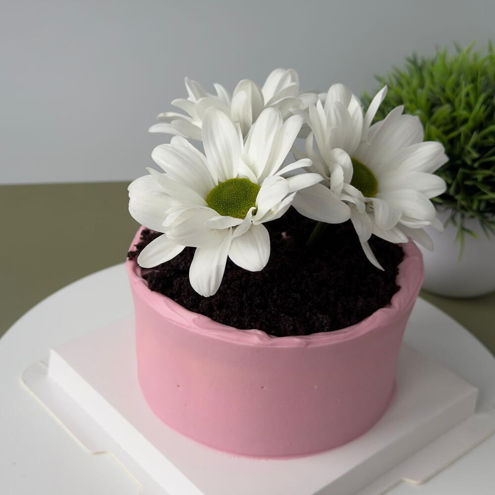 Бенто торт маме цветы в горшке